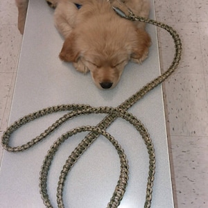 May include: A golden retriever puppy is sleeping on a white surface with a camouflage patterned lead.