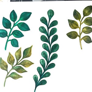 May include: Five watercolor illustrations of green leaves on a white background. The leaves are painted in shades of green and yellow.