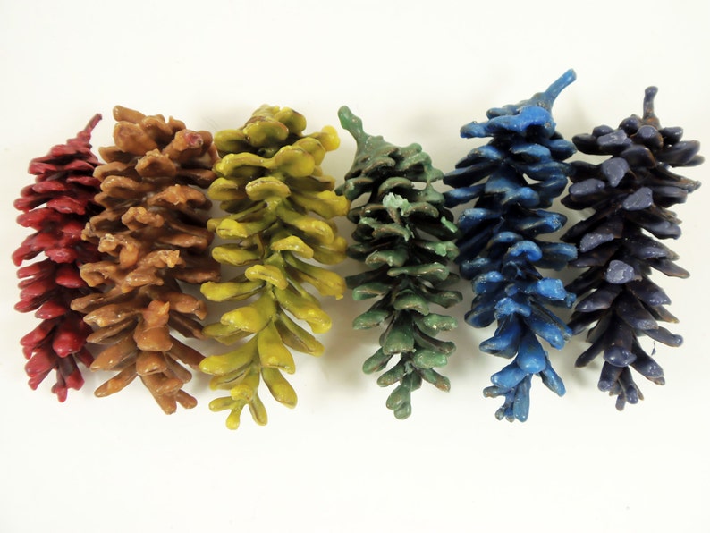 Pine Cone Fire Starters Etsy