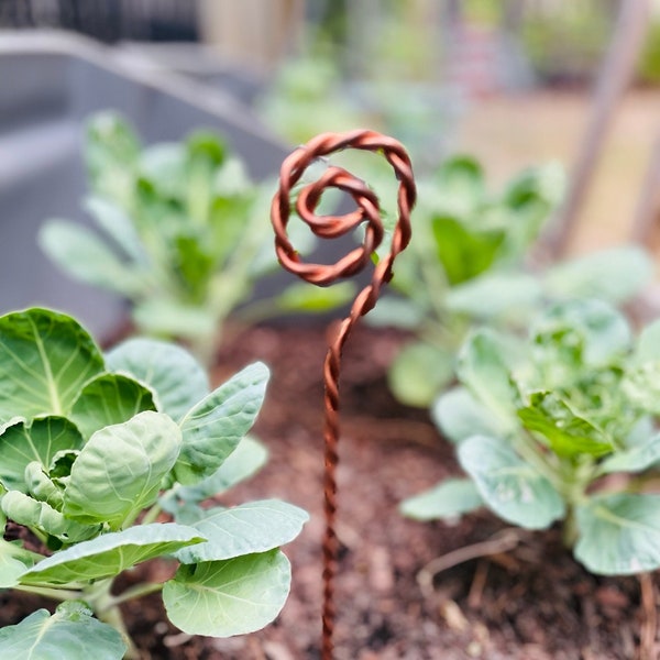 Copper wand for garden, Electro- Culture