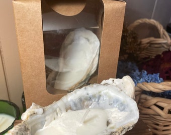 Oyster Shell Candle, all natural oyster shell candle. Soy wax shell candle
