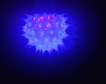 New Ubo Ultra Violet led