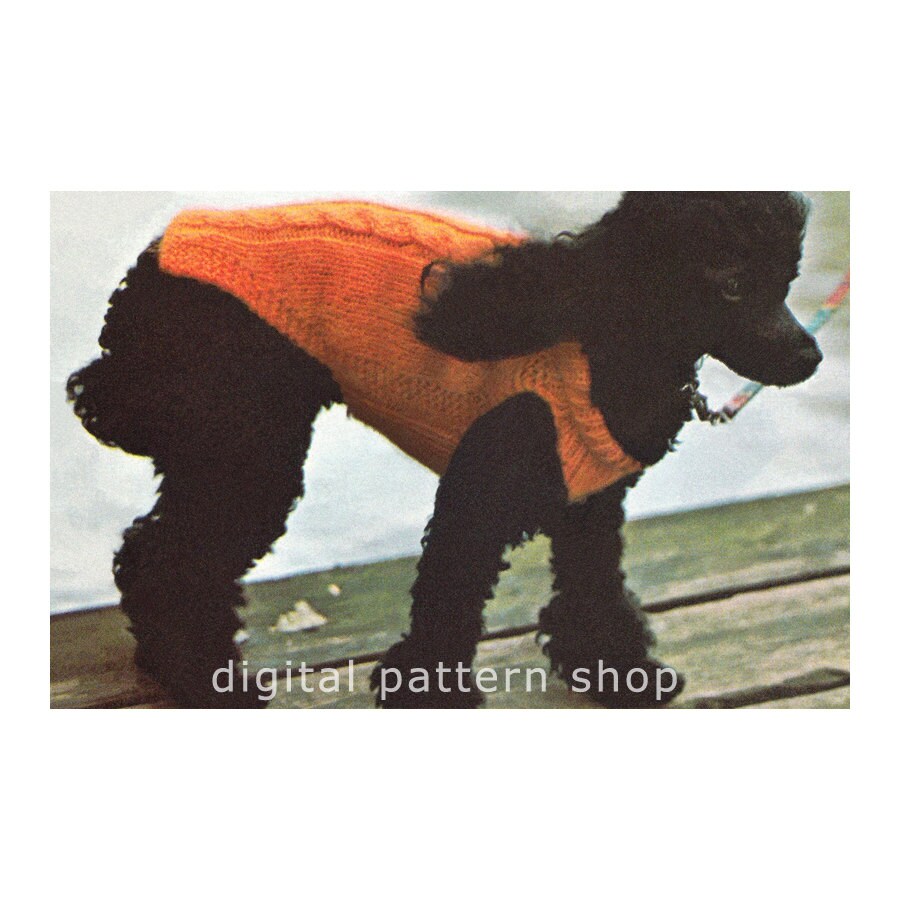cabled dog sweater pattern