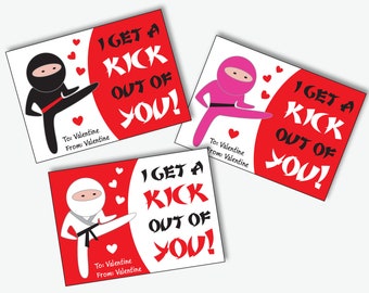 Ninja Valentines Cards for Kids - Printable Karate Valentine Classroom Cards or Tags, Personalized Valentine School Cards (Instant Download)