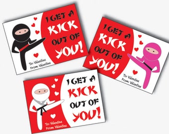 Ninja Valentines Cards for Kids - Karate Valentine - Ninja Valentines Cards - Valentines Day Kids Cards Girls and Boys (Instant Download)