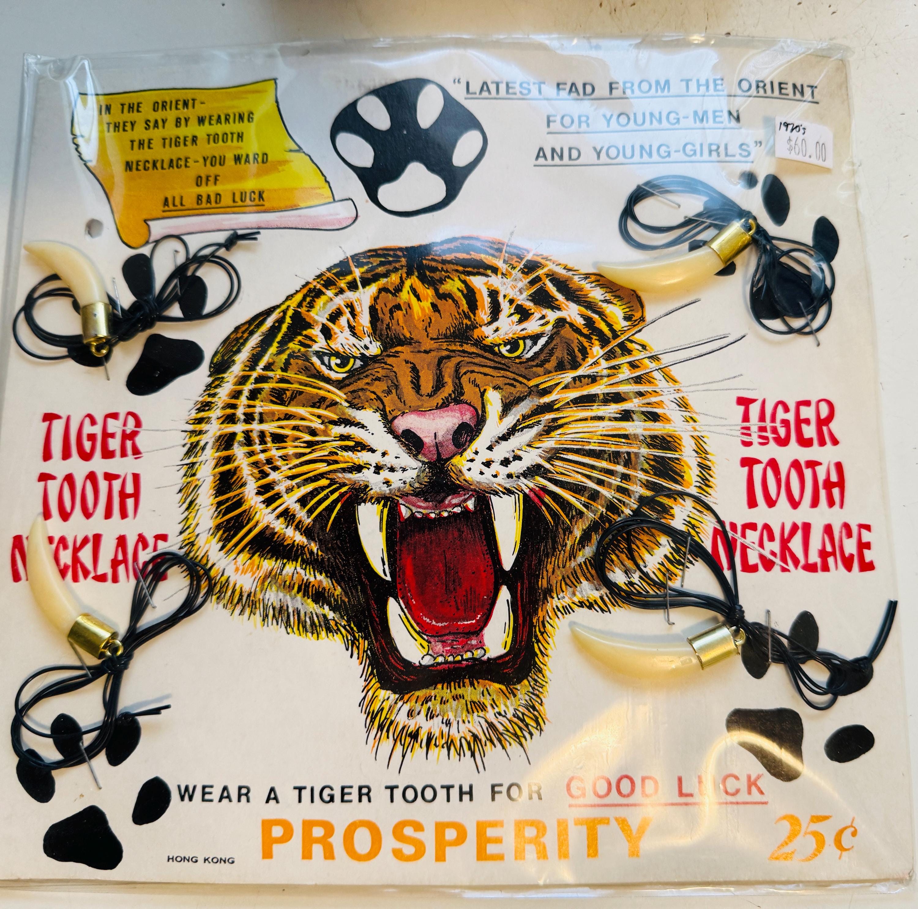 Tiger Teeth Rare Replica Necklace Vending Display 1980s - Etsy