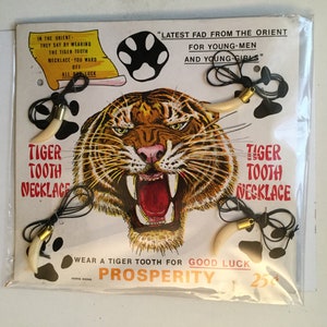 Tiger Teeth rare replica necklace vending display 1980s