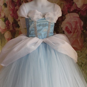 Cinderella Inspired Tutu Dress, Cinderella Party Dress, Toddler/ Girls Cinderella Costume