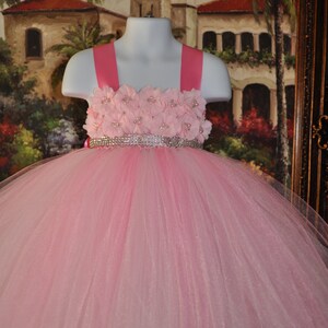 May include: A pink tulle tutu dress with a pink flower bodice and a rhinestone belt.