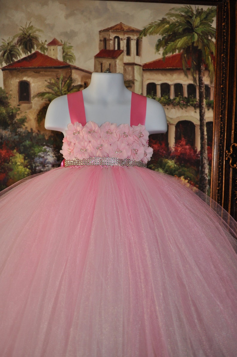 May include: A pink tulle tutu dress with a pink flower bodice and a rhinestone belt.