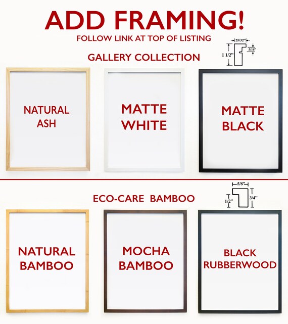 Add 1 Frame Gallery Quality Frames To Go Along With Your Image 0