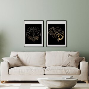 May include: Two black framed prints of gold outline drawings of the human brain. The prints are hanging on a light green wall above a white sofa.