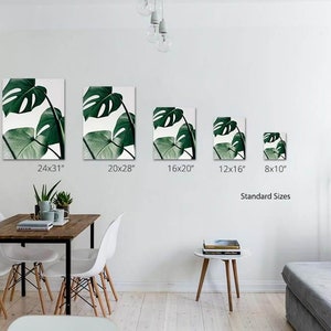 Op de afbeelding: Vijf verschillende formaten canvas prints met een close-up van een groen monstera blad tegen een witte achtergrond. De formaten zijn 61x79 cm, 51x71 cm, 41x51 cm, 30x41 cm en 20x25 cm. De tekst "Standaard formaten" staat onder de prints.