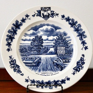 Peut inclure: Assiette en céramique blanche avec un motif panoramique bleu et blanc. L'assiette représente une route avec des voitures, des arbres et un panneau indiquant "Magnetic Hill". Le bord est orné de motifs floraux bleus.