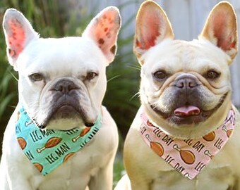 Leg Day Pet Bandana