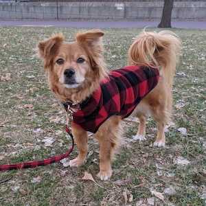 Red Buffalo Fleece Pullover Vest image 1