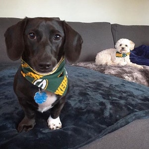 Packers Bandana or Bow Tie image 3