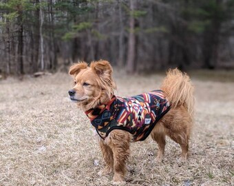 anti nausea medicine for dogs