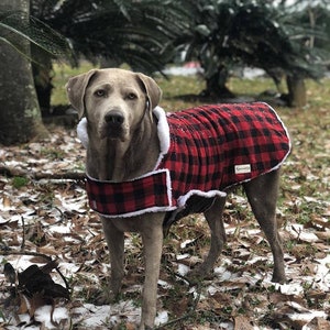 Custom Fitted Winter Pet Coat image 1