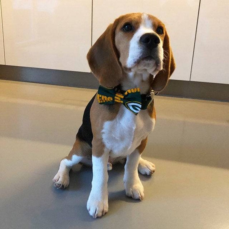 Packers Bandana or Bow Tie image 4