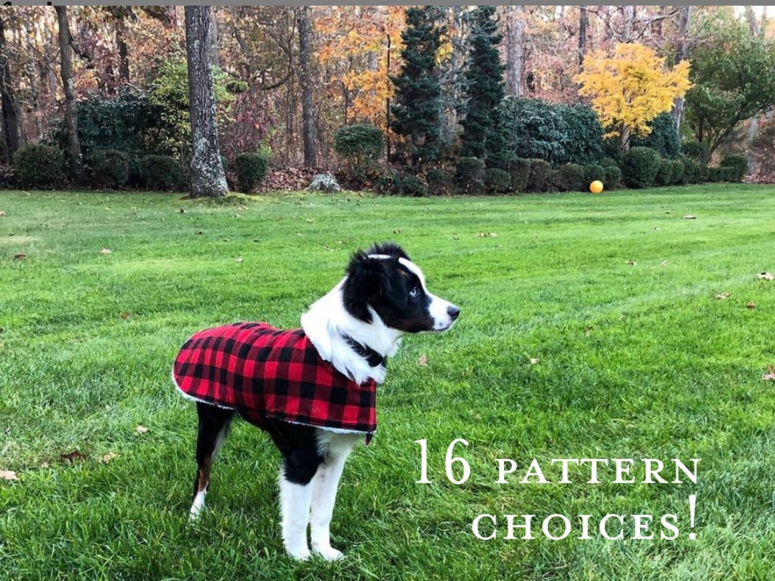 Winter Dog Coat standard Sizes Etsy