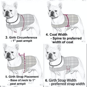 Custom Fitted Winter Pet Coat image 2