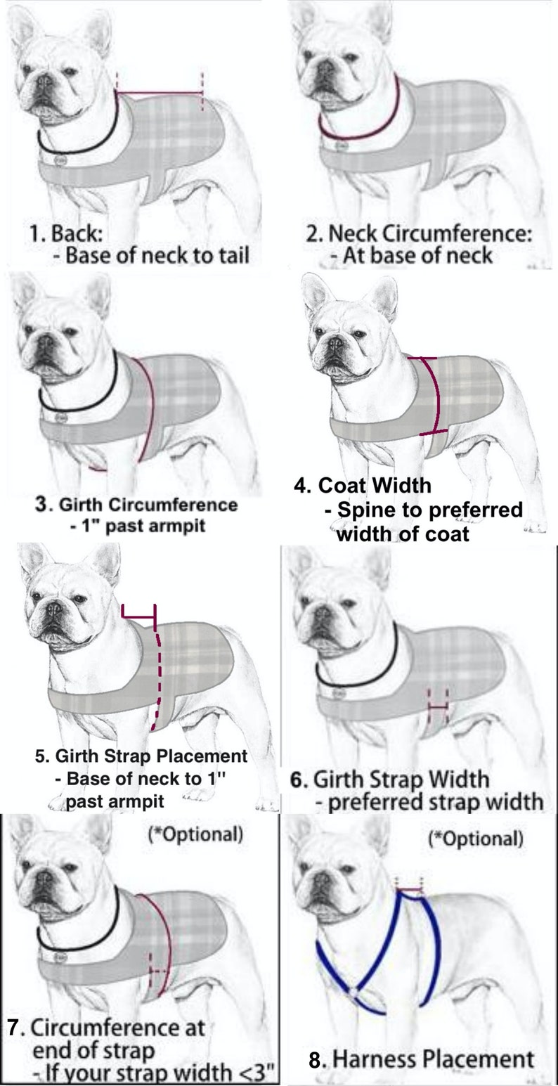 Custom Fitted Winter Pet Coat image 2