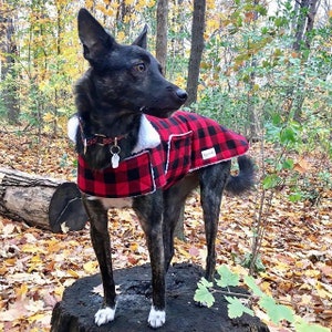 Custom Fitted Winter Pet Coat 1. Red Buffalo