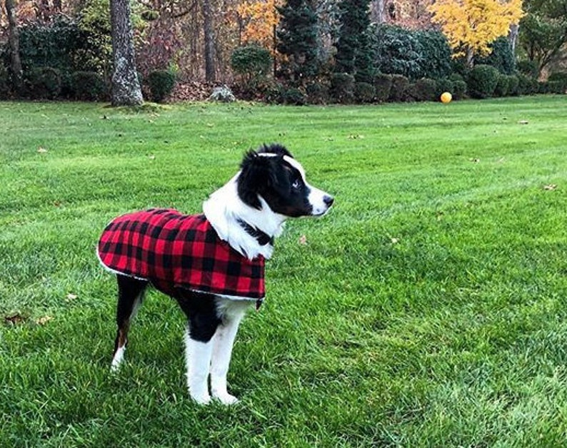 Winter Dog Coat Standard Sizes 1. Red Buffalo