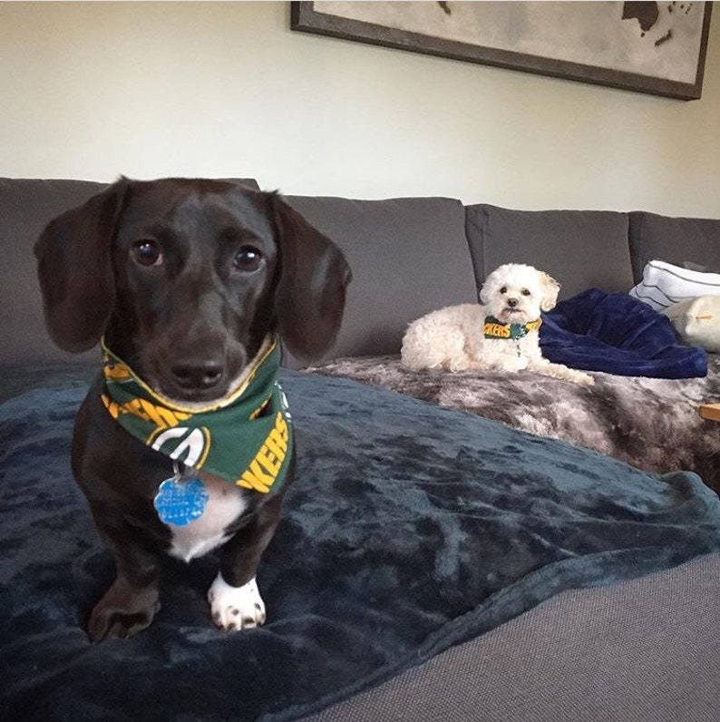 Packers Bandana or Bow Tie image 3