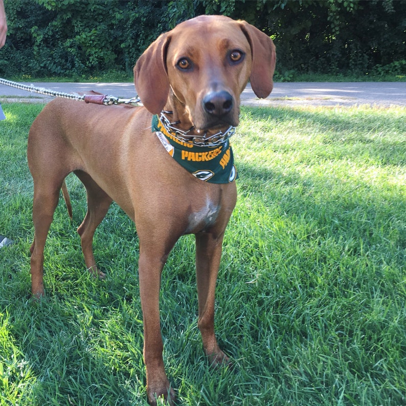 Packers Bandana or Bow Tie image 5