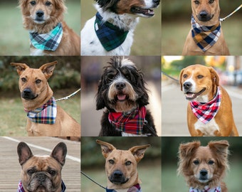 Flannel Pet Bandana or Bow Tie