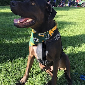 Packers Bandana or Bow Tie image 7