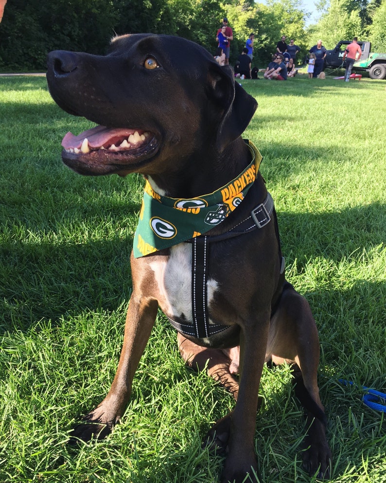 Packers Bandana or Bow Tie image 7