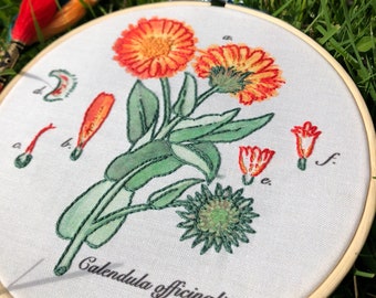 Botanical Embroidery Kit, Marigolds Beginner - Modern Floral, Flower, Science, Botany, DIY Embroidery Kit