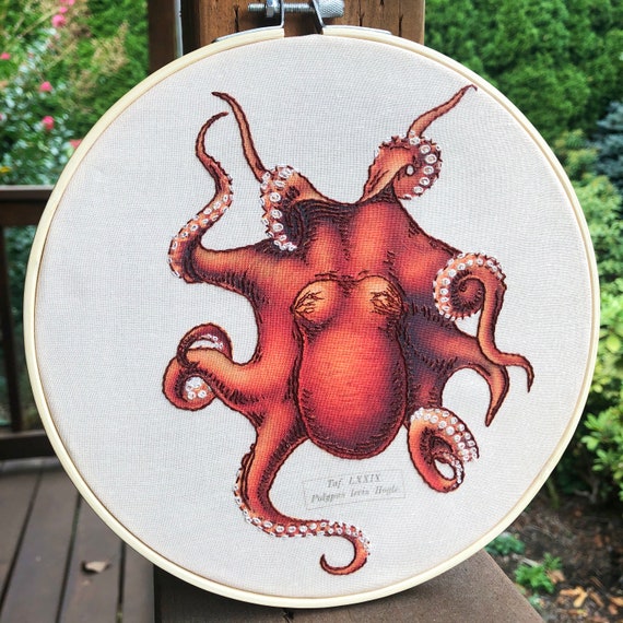 Beginner Embroidery Kit for Adults, Octopus, Science, Nautical, Marine,  Modern Embroidery Kit 