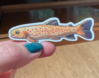 Brown Trout Sticker
