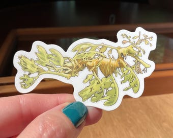 Leafy Seadragon Sticker