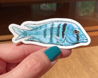 Deep-water Hap Sticker
