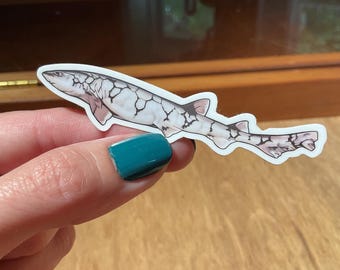 Chain Catshark Sticker