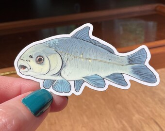 Bigmouth Buffalo Sticker