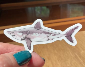 Porbeagle Shark Sticker