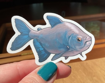 Black Pacu Sticker