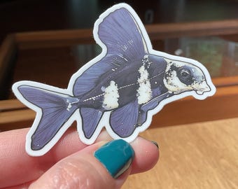 Wimple Carp Sticker