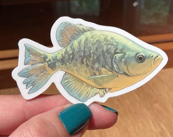 Black Crappie Sticker
