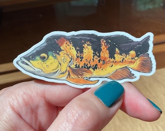 Peacock Bass Sticker