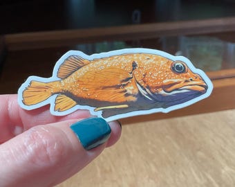 Starry Rockfish Sticker