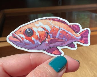 Rock Cod Sticker