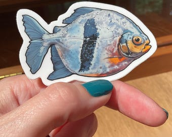 Disc Pacu Sticker