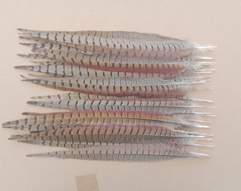 30 Seconds Pheasant Tail Feathers 15" - 16" / 38 - 40cm - Christmas Wreath Decoration